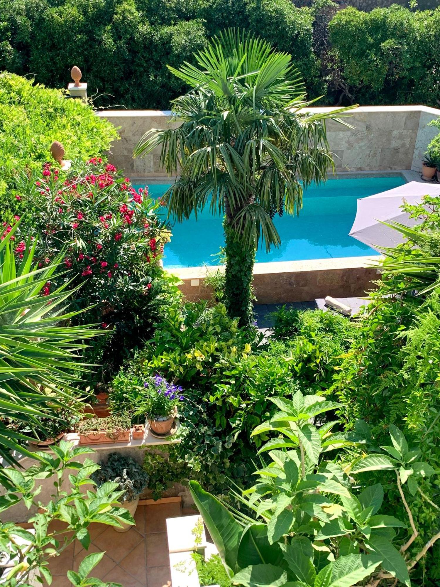 Luxury Pool Central Makarska Apartment By Maryn Zewnętrze zdjęcie